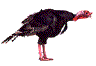 Smiley gratuit oiseau 141990