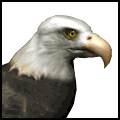 Smiley gratuit oiseau 141880