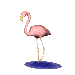 Smiley gratuit oiseau 141883