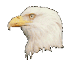 Smiley gratuit oiseau 141993