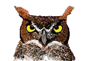 Smiley gratuit oiseau 141813