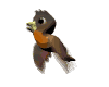 Smiley gratuit oiseau 142060