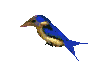Smiley gratuit oiseau 142075