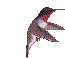Smiley gratuit oiseau 141855