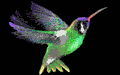 Smiley gratuit oiseau 142048