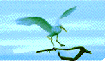 Smiley gratuit oiseau 142054
