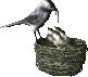 Smiley gratuit oiseau 141805
