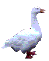 Smiley gratuit oiseau 141930