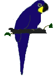 Smiley gratuit oiseau 141878