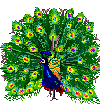 Smiley gratuit oiseau 141856