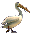 Smiley gratuit oiseau 142043