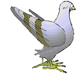 Smiley gratuit oiseau 142062