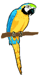 Smiley gratuit oiseau 141765