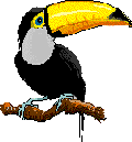 Smiley gratuit oiseau 142032