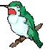 Smiley gratuit oiseau 141700