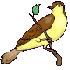 Smiley gratuit oiseau 142072