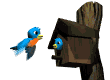 Smiley gratuit oiseau 141951