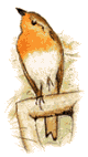 Smiley gratuit oiseau 141707