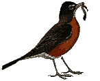 Smiley gratuit oiseau 141913