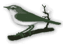 Smiley gratuit oiseau 142005
