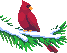 Smiley gratuit oiseau 141875