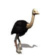 Smiley gratuit oiseau 142073