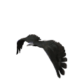 Smiley gratuit oiseau 141939