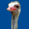 Smiley gratuit oiseau 141802