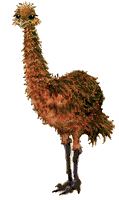 Smiley gratuit oiseau 141888