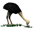 Smiley gratuit oiseau 141917