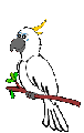 Smiley gratuit oiseau 142068