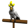 Smiley gratuit oiseau 141932