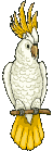 Smiley gratuit oiseau 141750