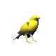 Smiley gratuit oiseau 141787