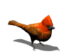 Smiley gratuit oiseau 141711