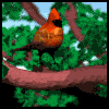 Smiley gratuit oiseau 141850