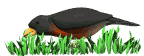 Smiley gratuit oiseau 141818