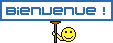 Smiley panneaux n�88 