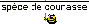 Smiley panneaux n�153 