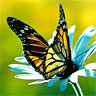 Smiley gratuit papillon 155708