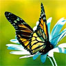 Libre smiley mariposa 155708