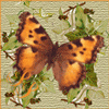 Libre smiley mariposa 155703