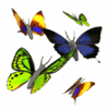 Libre smiley mariposa 155700