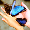 Libre smiley mariposa 155707