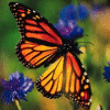 Libre smiley mariposa 155705