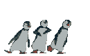 penguins emoticon No184308
