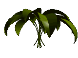 Smiley gratuit plante 184843