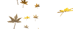 Smiley gratuit plante 184848