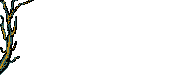Smiley gratuit plante 184906