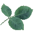 plant emoticon 184915